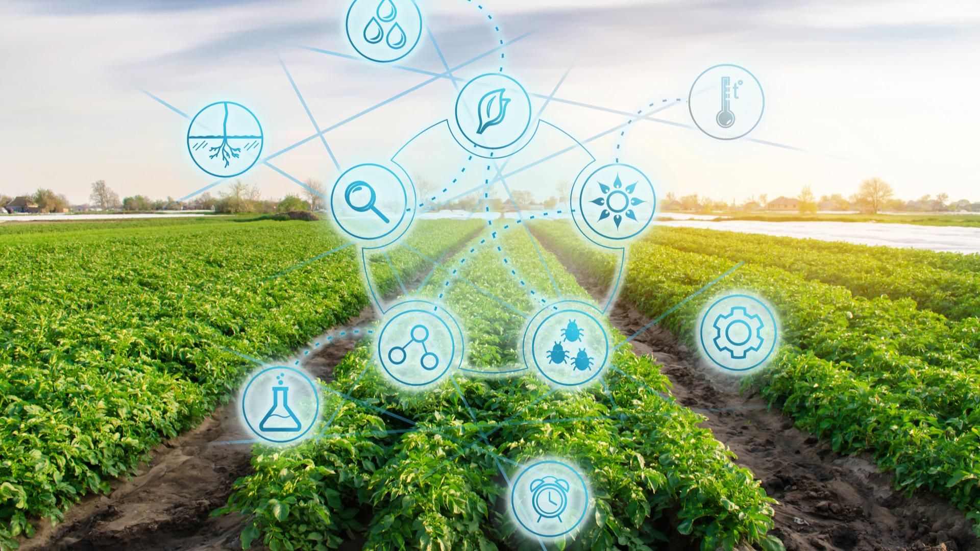 Tecnologias no agronegócio: conheça as soluções que já fazem parte do setor